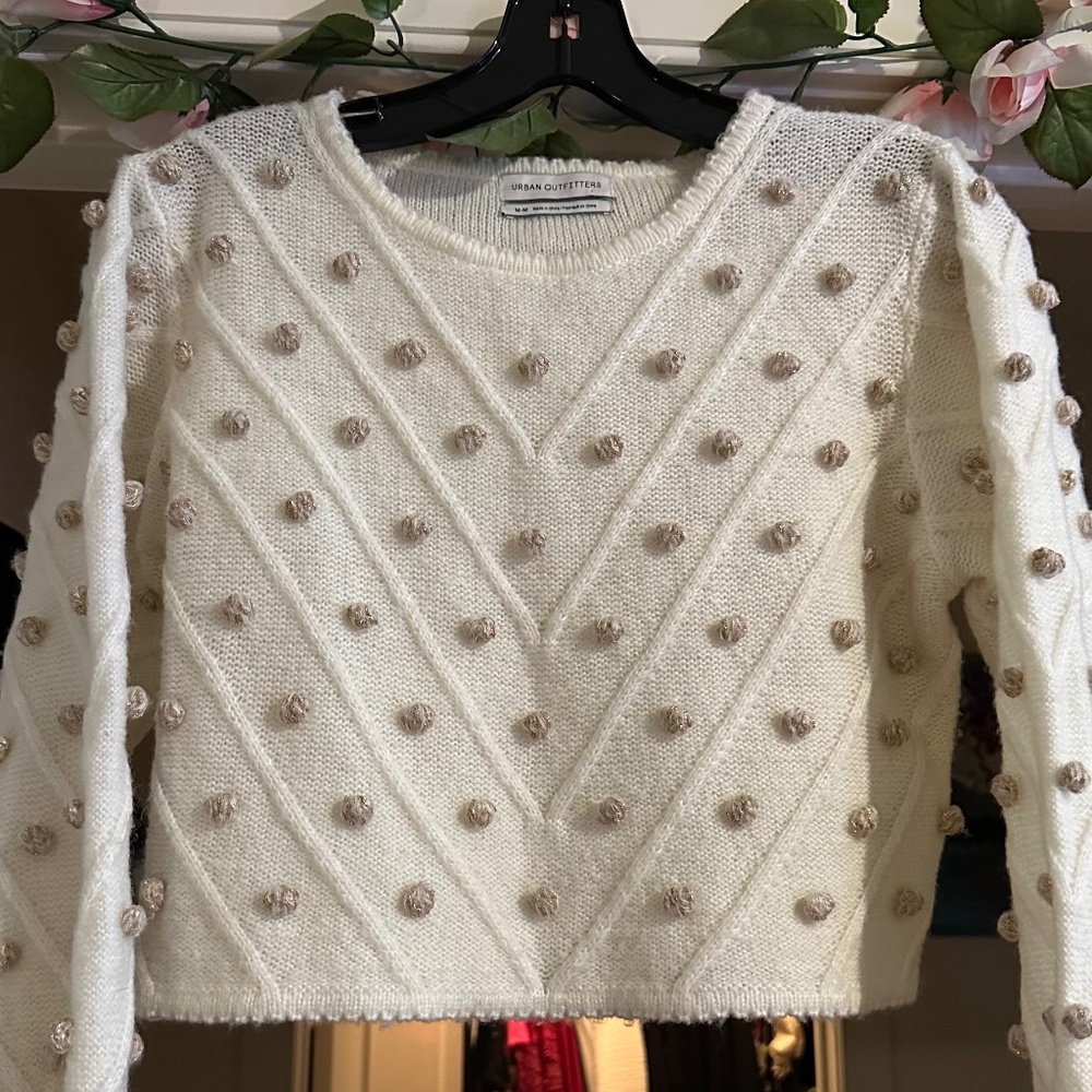Urban Outfitter Crop Sweater
